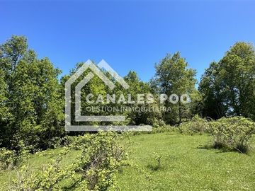 Campo Hermoso camino Panguipulli Los Lagos
