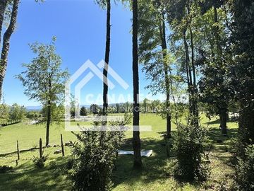 Campo Hermoso camino Panguipulli Los Lagos