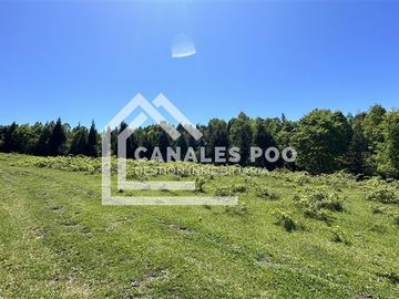 Campo Hermoso camino Panguipulli Los Lagos