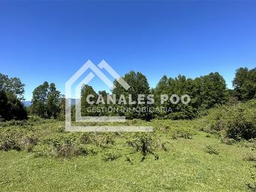 Campo Hermoso camino Panguipulli Los Lagos