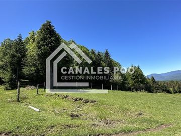 Campo Hermoso camino Panguipulli Los Lagos