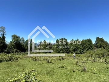 Campo Hermoso camino Panguipulli Los Lagos