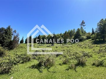 Campo Hermoso camino Panguipulli Los Lagos