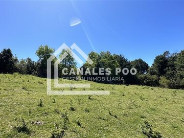 Campo Hermoso camino Panguipulli Los Lagos
