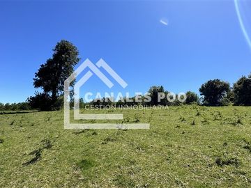 Campo Hermoso camino Panguipulli Los Lagos