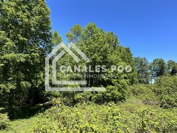 Campo Hermoso camino Panguipulli Los Lagos