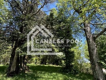 Campo Hermoso camino Panguipulli Los Lagos