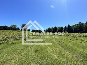 Campo Hermoso camino Panguipulli Los Lagos