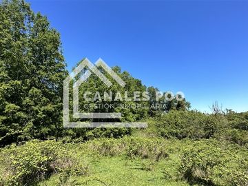 Campo Hermoso camino Panguipulli Los Lagos