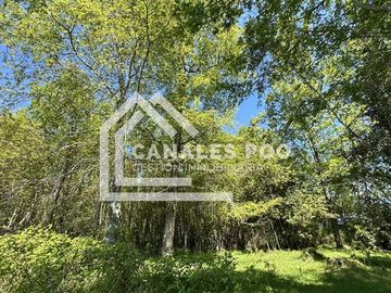 Campo Hermoso camino Panguipulli Los Lagos