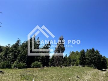 Campo Hermoso camino Panguipulli Los Lagos