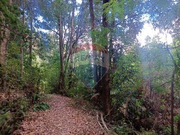 Se vende Centro vacacional en Mehuin