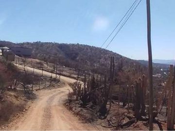 OPORTUNIDAD! PARCELA EN QUEBRADA, CON CASA RÚSTICA