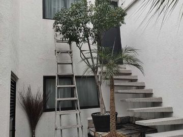 Venta Residencia en Palmas, Lomas de Chapultepec
