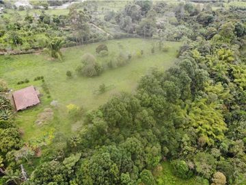 OPORTUNIDAD DE INVERSION, FINCA EN VENTA, SALENTO QUINDIO
