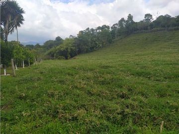 OPORTUNIDAD DE INVERSION, FINCA EN VENTA, SALENTO QUINDIO