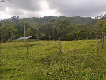 OPORTUNIDAD DE INVERSION, FINCA EN VENTA, SALENTO QUINDIO