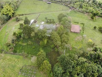 OPORTUNIDAD DE INVERSION, FINCA EN VENTA, SALENTO QUINDIO
