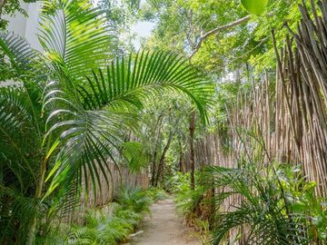 DEPA 3 RECÁMARAS EN LUUM ZAMA KITE TULUM