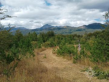 Chacra de 13has en Mallín Ahogado con acceso a costa de Arroyo del Medio (FC-182)