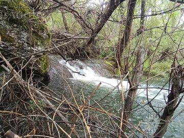Chacra de 13has en Mallín Ahogado con acceso a costa de Arroyo del Medio (FC-182)