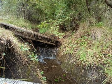 Chacra de 13has en Mallín Ahogado con acceso a costa de Arroyo del Medio (FC-182)