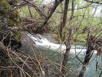 Chacra de 13has en Mallín Ahogado con acceso a costa de Arroyo del Medio (FC-182)
