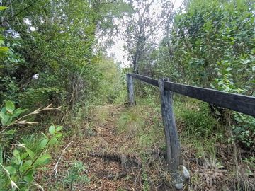 Chacra de 13has en Mallín Ahogado con acceso a costa de Arroyo del Medio (FC-182)