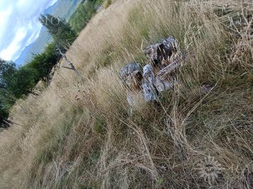 Chacra de 13has en Mallín Ahogado con acceso a costa de Arroyo del Medio (FC-182)