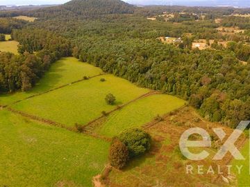 Agrícola en Venta en Kilometro 7 camino Panguipulli a Lanco