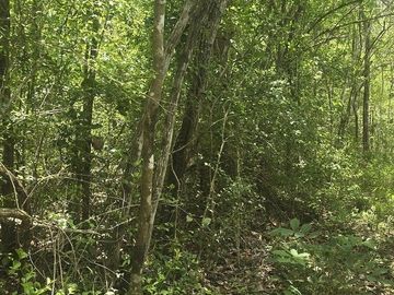 Terreno en Venta, 12 Ha sin construcciones, sobre carretera Valladolid-Temozon,