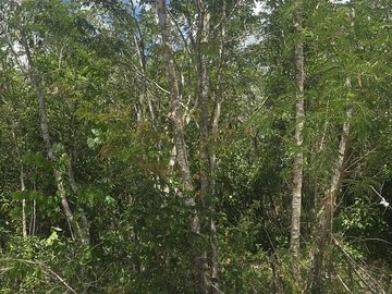 Terreno en Venta, 12 Ha sin construcciones, sobre carretera Valladolid-Temozon,