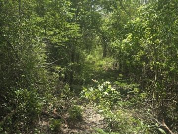 Terreno en Venta, 12 Ha sin construcciones, sobre carretera Valladolid-Temozon,