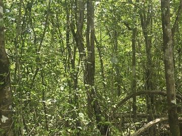Terreno en Venta, 12 Ha sin construcciones, sobre carretera Valladolid-Temozon,