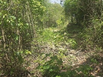 Terreno en Venta, 12 Ha sin construcciones, sobre carretera Valladolid-Temozon,