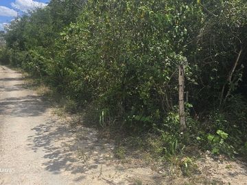 Terreno en Venta, 12 Ha sin construcciones, sobre carretera Valladolid-Temozon,