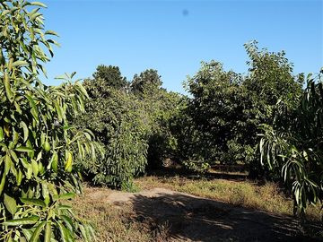 Casa en Venta en Quillota Urbano