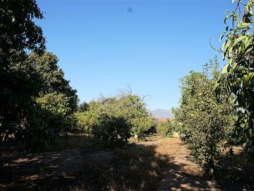 Casa en Venta en Quillota Urbano