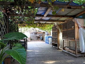 Casa en Venta en Quillota Urbano