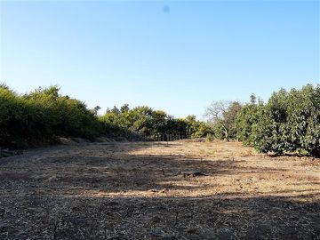 Casa en Venta en Quillota Urbano