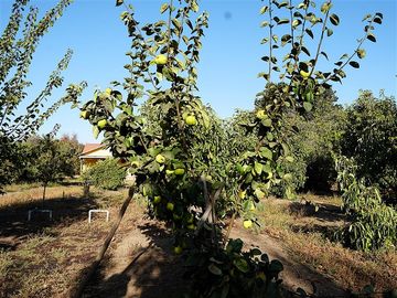 Casa en Venta en Quillota Urbano