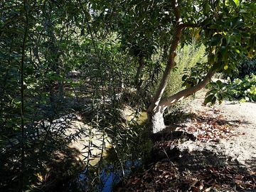 Agrícola en Venta en Quillota Urbano