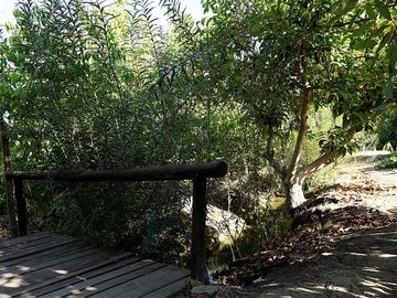 Agrícola en Venta en Quillota Urbano