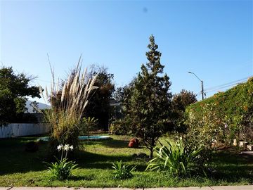 Agrícola en Venta en Quillota Urbano