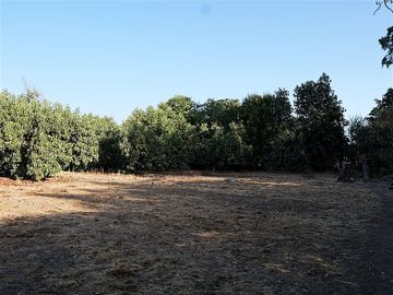 Agrícola en Venta en Quillota Urbano