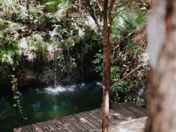Terreno con Villa y Cenote en Ruta de Los Cenotes, Puerto Morelos