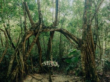Terreno con Villa y Cenote en Ruta de Los Cenotes, Puerto Morelos