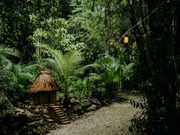 Terreno con Villa y Cenote en Ruta de Los Cenotes, Puerto Morelos