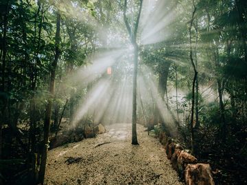 Terreno con Villa y Cenote en Ruta de Los Cenotes, Puerto Morelos