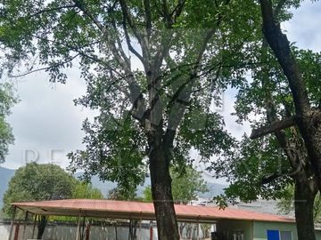Quintas Venta Juárez  40-QV-7659